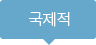 국제적