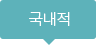 국내적