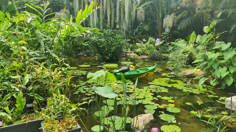 botanical