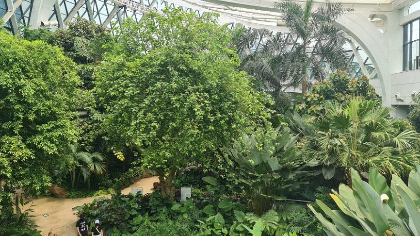 botanical1